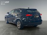 Lexus NX bei Reisemobile.expert - Abbildung (4 / 15)