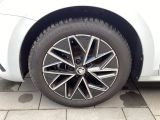 Skoda Octavia bei Reisemobile.expert - Abbildung (2 / 14)