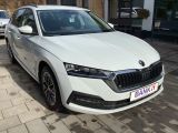Skoda Octavia bei Reisemobile.expert - Abbildung (4 / 15)