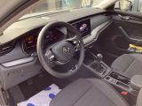 Skoda Octavia bei Reisemobile.expert - Abbildung (8 / 15)