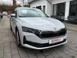 Skoda Octavia bei Reisemobile.expert - Abbildung (4 / 15) Skoda Octavia bei Reisemobile.expert - Abbildung (4 / 15)