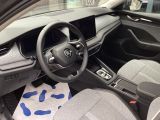 Skoda Octavia bei Reisemobile.expert - Abbildung (8 / 15)