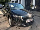 Skoda Karoq bei Reisemobile.expert - Abbildung (4 / 15)