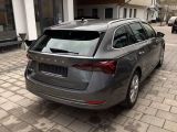 Skoda Octavia bei Reisemobile.expert - Abbildung (5 / 15)