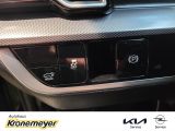 Kia Sportage bei Reisemobile.expert - Abbildung (11 / 15)