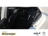 Kia Picanto bei Reisemobile.expert - Abbildung (15 / 15)