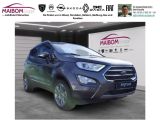 Ford EcoSport bei Reisemobile.expert - Abbildung (3 / 15)