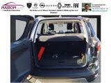 Ford EcoSport bei Reisemobile.expert - Abbildung (9 / 15)