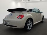 VW Beetle bei Reisemobile.expert - Abbildung (4 / 15)