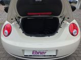 VW Beetle bei Reisemobile.expert - Abbildung (13 / 15)