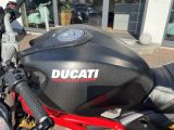 Ducati Monster bei Reisemobile.expert - Abbildung (3 / 12)