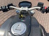 Ducati Monster bei Reisemobile.expert - Abbildung (4 / 12)