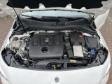Mercedes-Benz B-Klasse bei Reisemobile.expert - Abbildung (6 / 15)