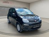 Fiat Panda bei Reisemobile.expert - Abbildung (3 / 15)