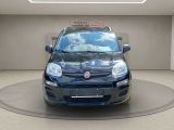 Fiat Panda bei Reisemobile.expert - Abbildung (2 / 15)