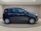 Fiat Panda bei Reisemobile.expert - Abbildung (4 / 15)