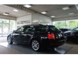 Skoda Octavia bei Reisemobile.expert - Abbildung (7 / 15)