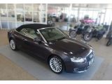 Audi A5 Cabriolet bei Reisemobile.expert - Abbildung (3 / 15)