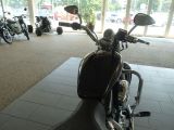 Harley-Davidson Sportster bei Reisemobile.expert - Abbildung (6 / 15)