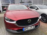 Mazda CX-30 bei Reisemobile.expert - Abbildung (2 / 12)