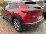 Mazda CX-30 bei Reisemobile.expert - Abbildung (4 / 12)