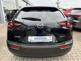 Mazda MX-30 bei Reisemobile.expert - Abbildung (6 / 14)