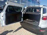 Ford EcoSport bei Reisemobile.expert - Abbildung (5 / 13)