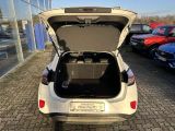 Ford Puma bei Reisemobile.expert - Abbildung (7 / 14)