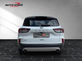 Ford Kuga bei Reisemobile.expert - Abbildung (7 / 15)