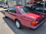 Mercedes-Benz 230 bei Reisemobile.expert - Abbildung (3 / 11)