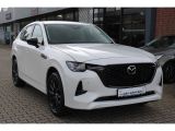 Mazda CX-60 bei Reisemobile.expert - Abbildung (7 / 15)
