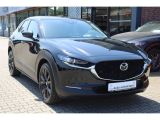 Mazda CX-30 bei Reisemobile.expert - Abbildung (7 / 15)