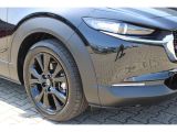 Mazda CX-30 bei Reisemobile.expert - Abbildung (8 / 15)