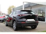 Mazda CX-30 bei Reisemobile.expert - Abbildung (3 / 15)