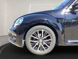 VW Beetle bei Reisemobile.expert - Abbildung (9 / 15) VW Beetle bei Reisemobile.expert - Abbildung (9 / 15)