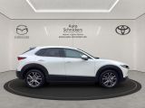 Mazda CX-30 bei Reisemobile.expert - Abbildung (6 / 15)