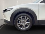 Mazda CX-30 bei Reisemobile.expert - Abbildung (9 / 15)
