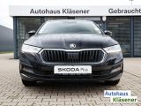 Skoda Octavia bei Reisemobile.expert - Abbildung (8 / 15)