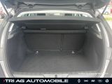 Peugeot 308 bei Reisemobile.expert - Abbildung (12 / 15)