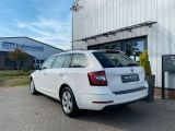Skoda Octavia bei Reisemobile.expert - Abbildung (3 / 15)