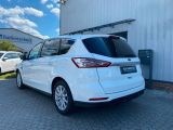 Ford S-Max bei Reisemobile.expert - Abbildung (3 / 15)