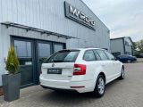 Skoda Octavia bei Reisemobile.expert - Abbildung (6 / 15)
