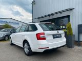 Skoda Octavia bei Reisemobile.expert - Abbildung (4 / 15)