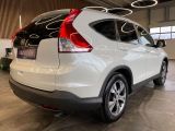 Honda CR-V bei Reisemobile.expert - Abbildung (6 / 15)