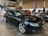 Audi A5 Cabriolet bei Reisemobile.expert - Abbildung (4 / 15)