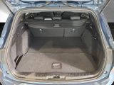 Ford Focus ST bei Reisemobile.expert - Abbildung (13 / 15)