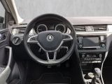 Skoda Rapid bei Reisemobile.expert - Abbildung (13 / 15) Skoda Rapid bei Reisemobile.expert - Abbildung (13 / 15)