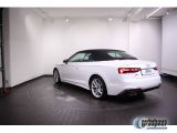 Audi S5 bei Reisemobile.expert - Abbildung (2 / 15)