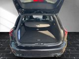 Ford Focus ST bei Reisemobile.expert - Abbildung (15 / 15)