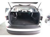 Skoda Kodiaq bei Reisemobile.expert - Abbildung (14 / 15)